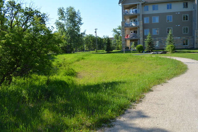 The area before planting