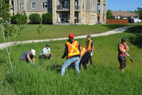 Volunteers hard at work