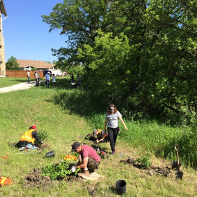 Volunteers hard at work
