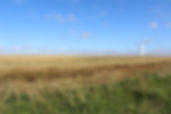 Oklahoma Landscape.jpg