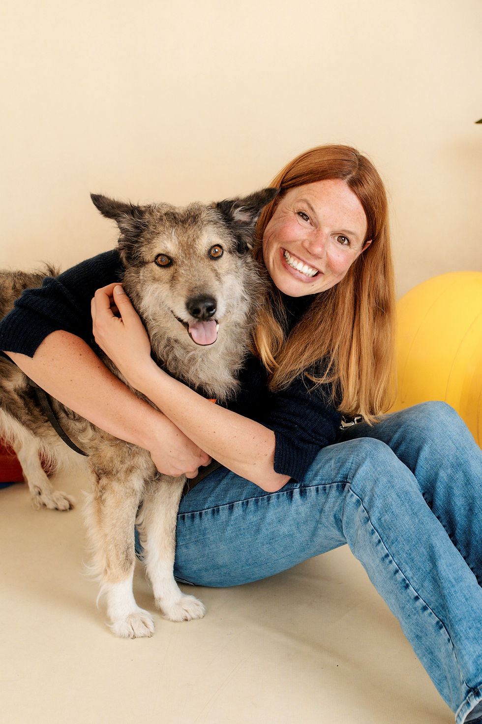 Physiotherapie Hund Pfotenkunde Melanie Harbs