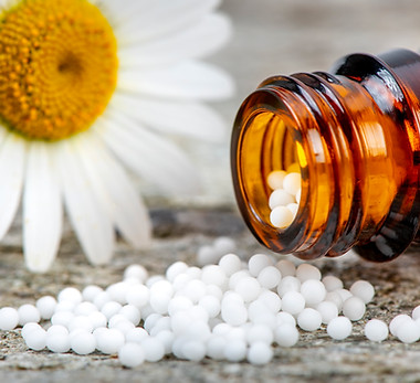 Homöopathie Hund Katze Pfotenkunde Melanie Harbs.jpg