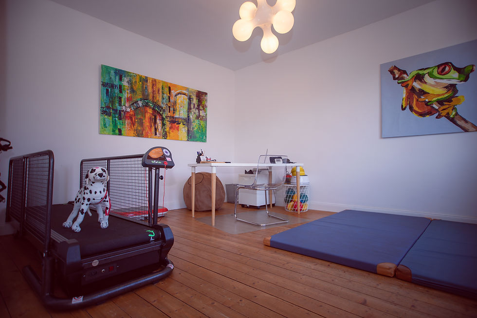 Physiotherapie Hund Pfotenkunde Melanie Harbs