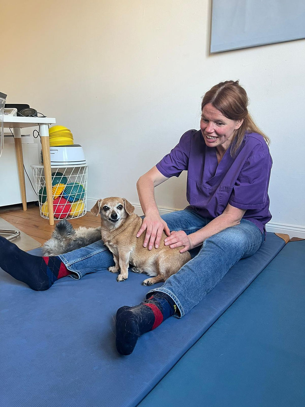 Physiotherapie Hund Pfotenkunde Melanie Harbs