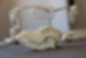 Pfotenkunde Osteopathie Hundeknochen.jpg
