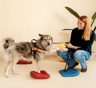 Physiotherapie Hund Pfotenkunde Melanie Harbs.jpg