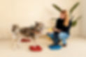 Physiotherapie Hund Pfotenkunde Melanie Harbs.jpg