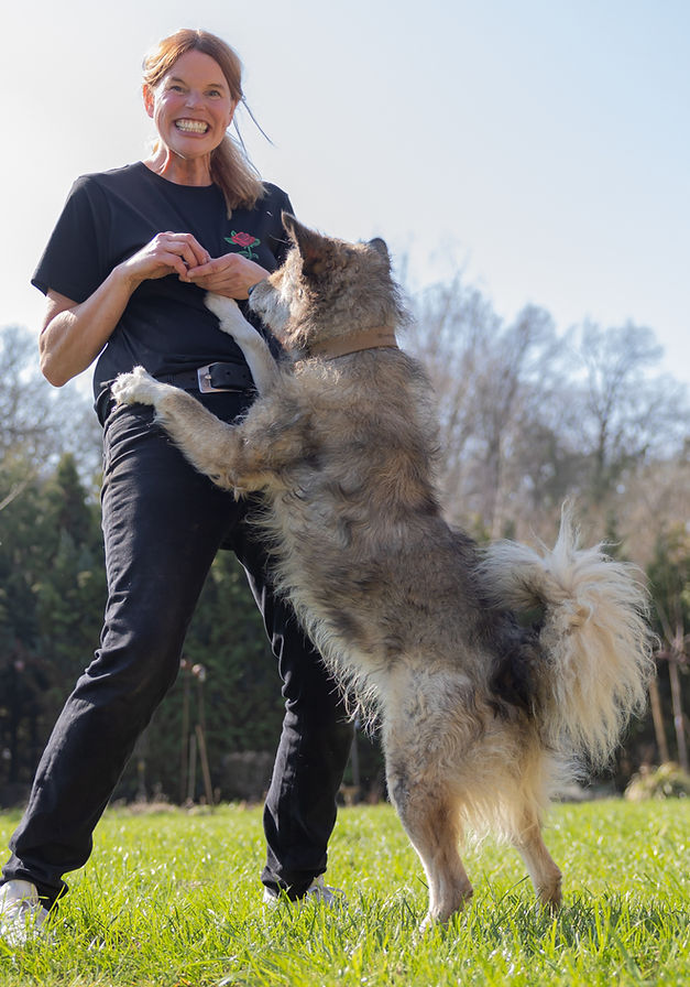 Melanie Harbs Physiotherapeutin Hund Katze Pfotenkunde