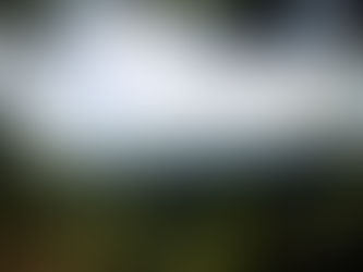 JEFE DE FINANZAS Y ADMINISTRACIÓN