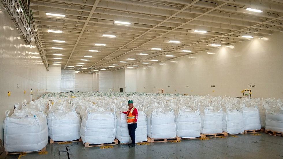Inside the Sail Cargo ship with rows of white coffee bulk bags on pallets; a worker in a hard hat and orange vest stands in front.