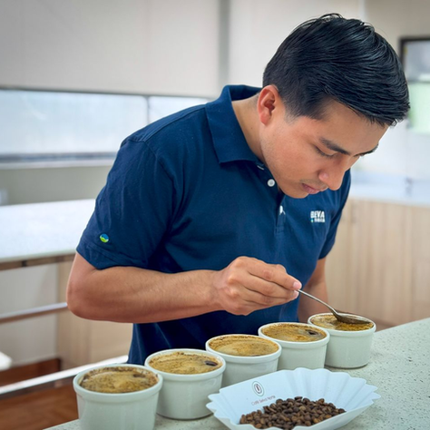 Meet Juan Balcázar, Our Export Logistics Coordinator at ElevaFinca