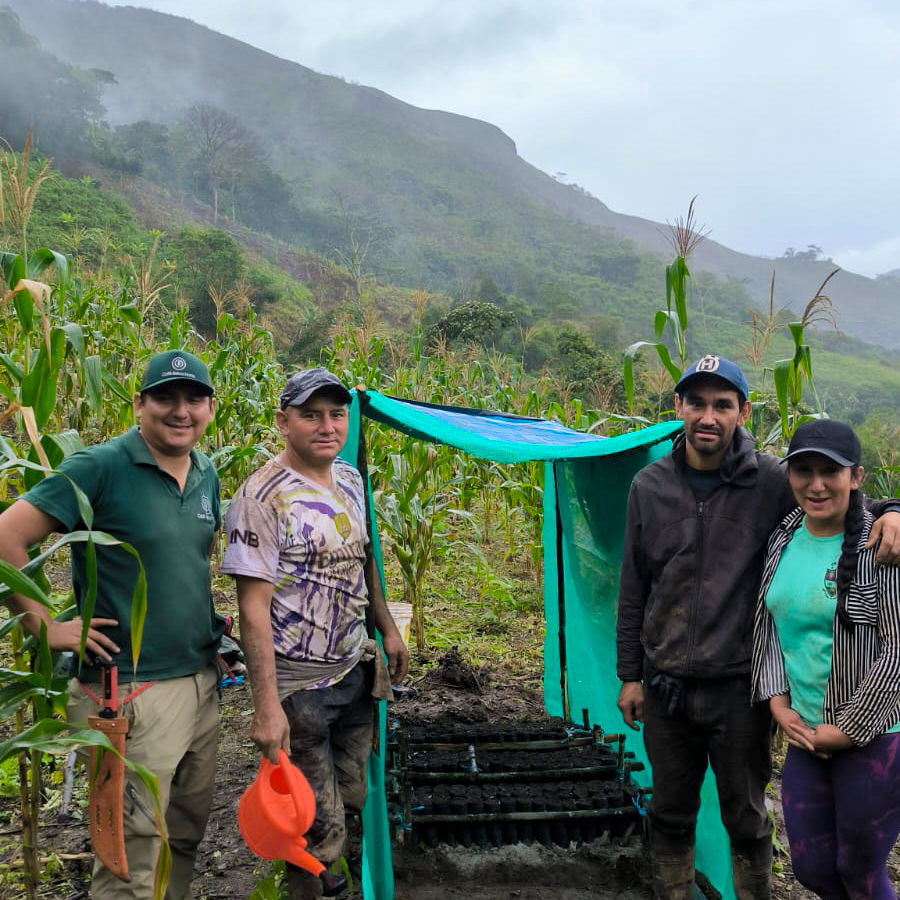 Café Selva Norte restoration, and generate added value through carbon initiatives.