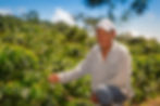 Coffee producer showing his coffee cherries