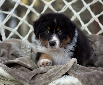 jackpot 2 6 w logo.jpg