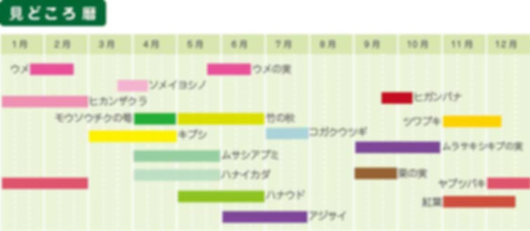 park_calender.jpg