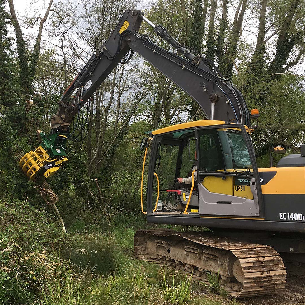 Treemaster-GS800-300-3