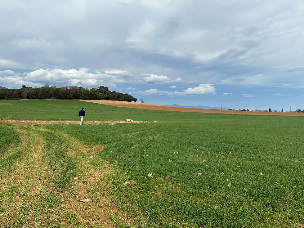 CataloniaNature: Discover Girona and RuralGirona  for Catalunya lovers