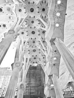 sagrada familia 1.jpeg