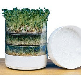 Sprouting Seeds & Supplies