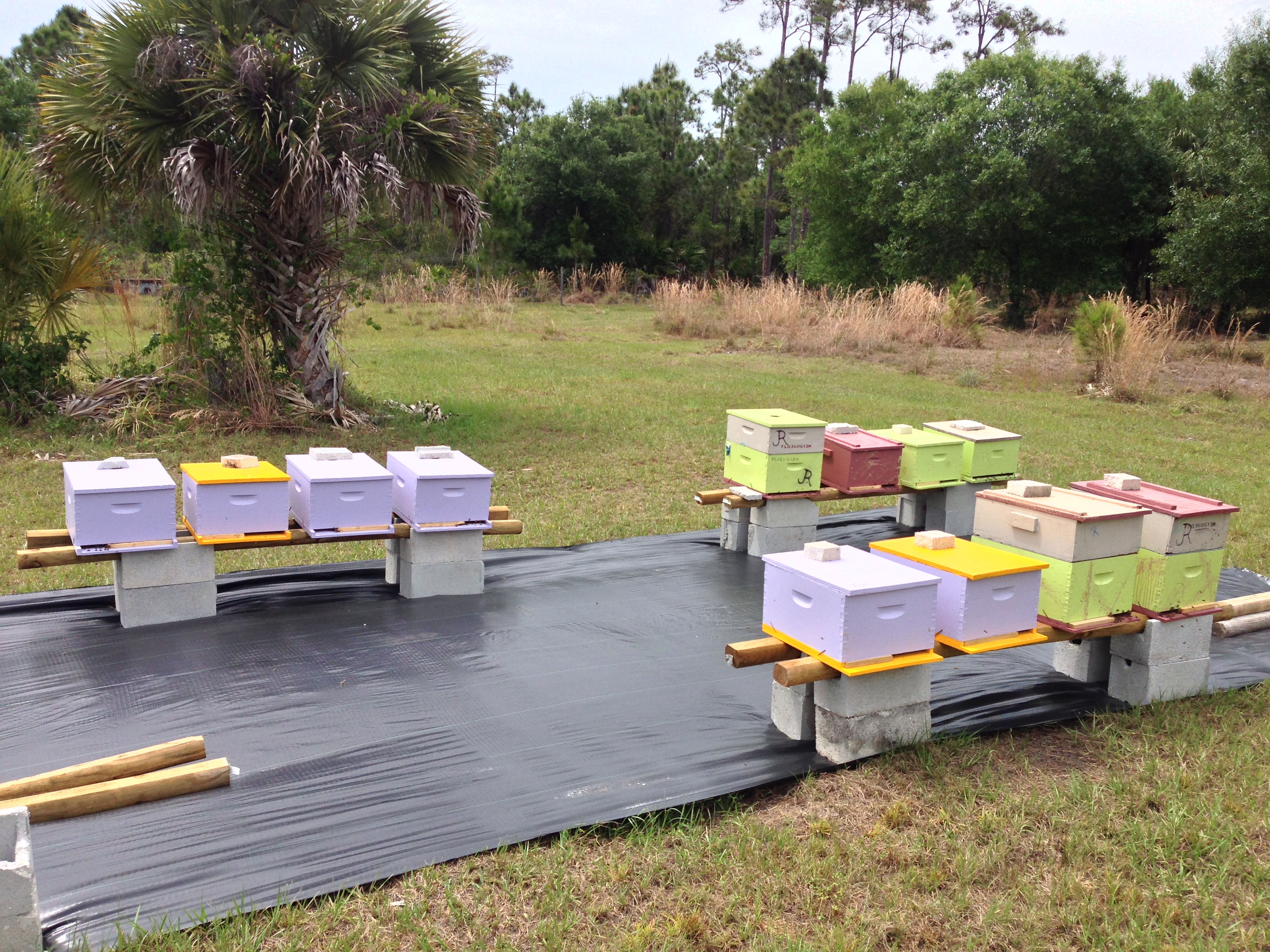 Top Boards | 10-frame | Commercial | Migratory