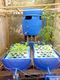 Aquaponics system diy pdf 