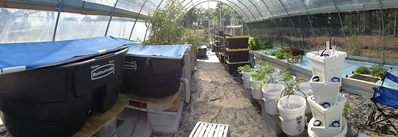 Greenview Aquaponics Family Farm Apiary