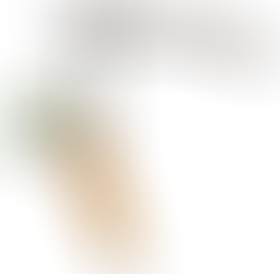 Integrated care needs incentives that matter to clinicians as well as accountants