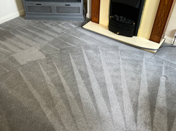 Polypropylene Carpet