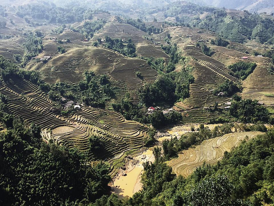 Sapa