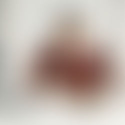 Meal prepping for Senior Citizens