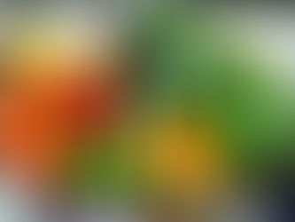 Fibremaxxing: The Midlife Wellness Revolution