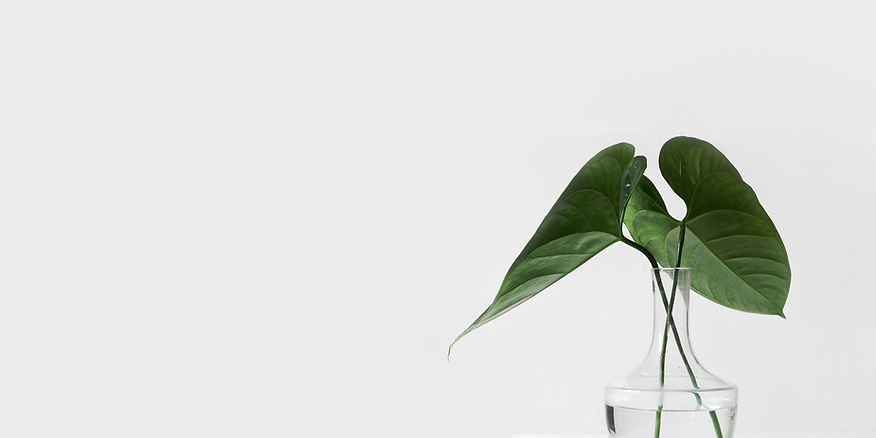 sarah-dorweiler-x2Tmfd1-SgA-unsplash_edited_edited.jpg