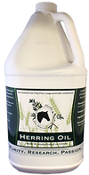 herbs-4-horses-herring-oil-herbs-4-horse