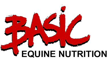 Basic Sports Supplements 