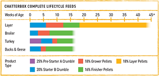 Chatterbox poultry feed chart