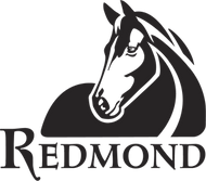redmond equine salt supplements
