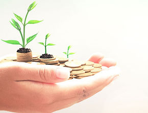 IUF-Endowment-FB_edited.jpg