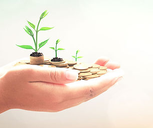 IUF-Endowment-FB.jpg