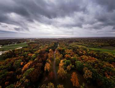 DJI_0838_.jpg
