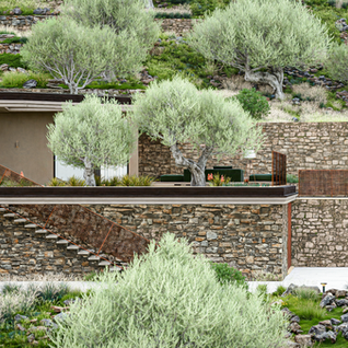 architettura sostenibile, landscape, villa d'autore