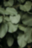 acbe59e1ade1d3961bc7a3ce3e517712.jpeg