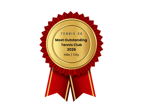 Red Gold and White Modern Award Competition Certificate (3).png