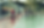Screenshot 2026-01-06 130756