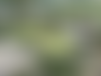 Southport Sharks game-changing plan for new community, lifestyle and sports facilities on Gold Coast