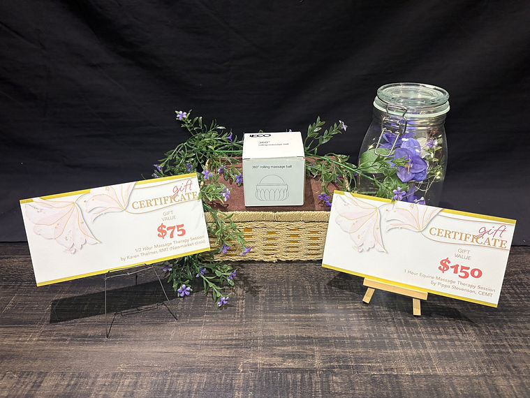 10-Massage Basket.JPG