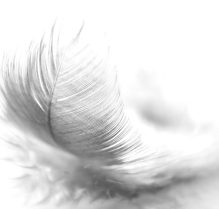 Feather_edited.jpg