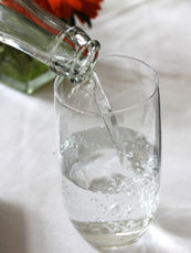 Wasser ist essenziell für einen gesunden, funktionierenden Körper. Es dient als Transportmedium, reguliert die Körpertemperatur und unterstützt die Ausscheidung von Stoffwechselprodukten. Als Richtwert gelten mindestens 0,3 Liter pro 10 kg Körpergewicht pro Tag.