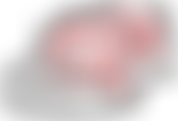 MSP Explorer Desert Duck