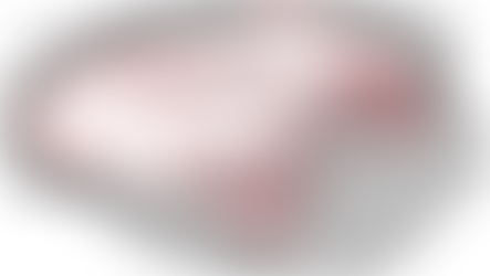 MSP Explorer Wild Turtle