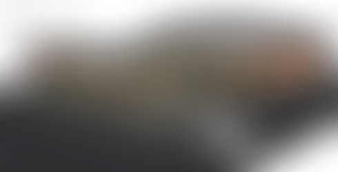 Parte I: Piante e Sezioni